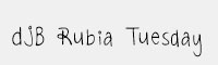 DJB Rubia Tuesday英文手寫字體