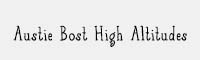 Austie Bost High Altitudes英文手寫字體