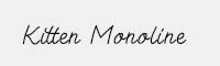 Kitten Monoline英文手寫(xiě)字體