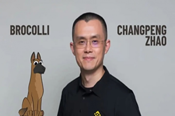 連CZ 的狗都有迷因幣，Broccoli 幣20 分鐘賺650 萬美金！