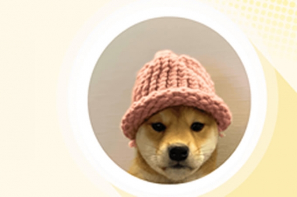 Dogwifhat （WIF） 價格預測2025 年、2026 年、2027 年– 它能否主導模因幣領域？