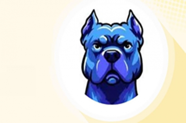 DOGINME ($DOGINME) 價格飆升： 為什么下一步可能是修正
