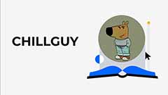 CHILLGUY是什么？Solana 鏈上Meme幣新星
