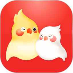 婚前婚后app v1.6.3 安卓版