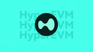 如何參與HyperEVM空投？HyperEVM核心協(xié)議、HYPE空投與未來展望