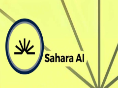 Sahara AI(SAHARA)是什么?SAHARA代幣經(jīng)濟與未來前景分析