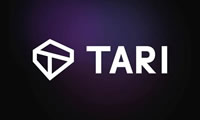 Tari(XTM)幣項目背景、類別、概覽和市場、價格分析