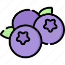 藍莓音樂 v2.0 安卓版