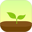 Forest專注森林(培養(yǎng)高效率應(yīng)用) v4.93.0 蘋果手機版