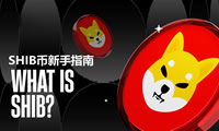 什么是柴犬幣(SHIB)？SHIB幣2025年最新新手指南