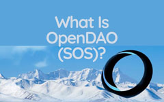 OpenDAO（SOS幣）是什么？SOS代幣經(jīng)濟(jì)學(xué)、未來展望及價(jià)格預(yù)測(cè)