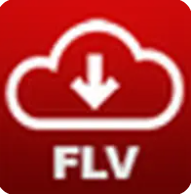 flv視頻地址嗅探器 VVBOX FLV Downloader v1.0.0.1 云龍綠化版