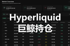 Hyperliquid巨鯨持倉(cāng)：長(zhǎng)線看多與短線搏空，堅(jiān)守主流但看空山寨？