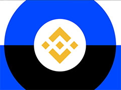 什么是BNB 企業(yè)財(cái)庫(kù)？一文盤點(diǎn)2025年主要的企業(yè)和機(jī)構(gòu)BNB持有者
