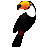 文件同步備份軟件件(Toucan ) V3.0.4 綠色多國語言便攜版