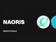 Naoris Protocol(NAORIS幣)是什么?如何運作?NAORIS代幣模型和前景分析