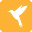 黃鳥(niǎo)抓包(抓包注入工具) v2.33.12 安卓版