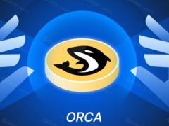 什么是Orca(ORCA幣)？它是如何運作的？ORCA幣運作原理、代幣經(jīng)濟(jì)學(xué)及未來展望