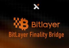 幣安錢包即將上線Bitlayer(BTR幣)是什么？值得投資嗎？Bitlayer(BTR幣)預(yù)售指南