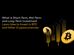 如何投資BTC和其他加密貨幣:比特幣短期,中期和長期投資指南