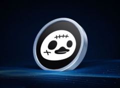 DuckCoop(DUCKS幣)是什么？怎么樣？DUCKS幣功能、代幣經(jīng)濟學及發(fā)展路線圖介紹