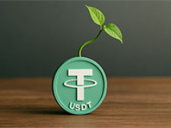 穩(wěn)定幣龍頭Tether三大亮點(diǎn)：如何晉身全球第18 大美債持有者？