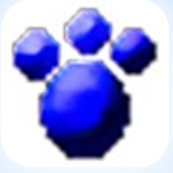 打字高手 V8.3 綠色特別版