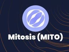 什么是Mitosis(MITO幣)？怎么樣？MITO幣工作原理、代幣經(jīng)濟(jì)學(xué)及路線圖介紹