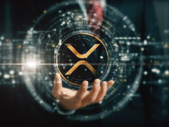 一文解碼XRP籌 碼分布:誰擁有最多的XRP？