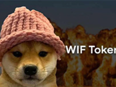 Dogwifhat (WIF)幣是什么？從迷因到數(shù)十億美元的市值：代幣經(jīng)濟(jì)學(xué)、風(fēng)險(xiǎn)介紹