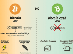 比特幣 vs 比特幣現(xiàn)金：數(shù)字黃金與數(shù)字現(xiàn)金