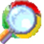 ChromeCacheView 谷歌緩存查看 v2.5 綠色中文版