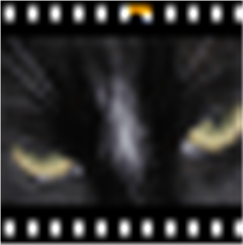 PhotoFilmStrip 圖片轉視頻工具 v1.5 綠色免費版