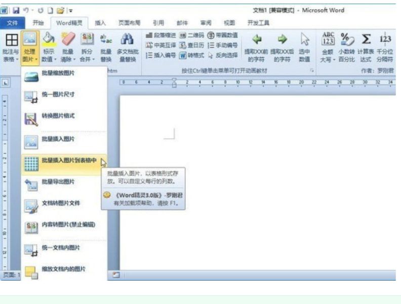 羅剛君Word精靈 V11.4 官方安裝版