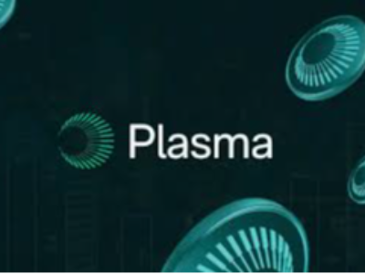 創(chuàng)造0.1美元的空投神話后,Plasma的未來前景如何?一文詳解
