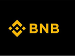 什么是 BNB 加密貨幣？持有BNB幣的優(yōu)勢、風(fēng)險及未來介紹