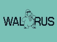 Walrus(WAL)幣是什么？如何參與和領(lǐng)??？2025年你需要了解的關(guān)于Walrus空投的一切