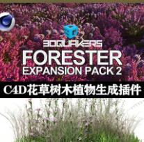 C4D森林植物花草生長插件3DQUAKERS-Forester v1.5.7 for C4D R20