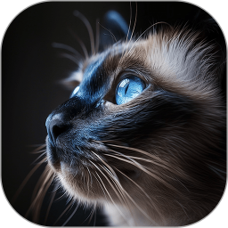 懸浮圖片 v1.5 安卓版