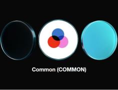 什么是Common(COMMON)币?值得投资吗?Common投资价值和代币经济学介绍