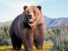 比特币失守10万大关?是牛熊转换拐点吗?简单分析