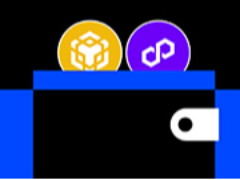 如何将 MetaMask 连接到 BNB、Polygon 和其他支持的区块链:详细指南