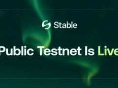Stable穩(wěn)定幣公鏈?zhǔn)鞘裁?如何加入Stable測試網(wǎng)?Stable空投參與指南