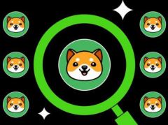 什么是Baby Doge Coin(BabyDoge)幣？是好的投資嗎？Baby Doge技術(shù)架構(gòu)和價(jià)值分析