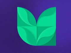 Vernus (VER)幣是什么? 代幣經(jīng)濟(jì)學(xué)、路線圖和價格預(yù)測 2025-2030年