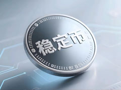 一文搞清楚穩(wěn)定幣對(duì)美國(guó)、新興市場(chǎng)以及貨幣未來(lái)的真正意義