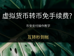 幣安支付Binance Pay是什么?真的免手續(xù)費嗎?幣安支付操作圖文教學(xué)