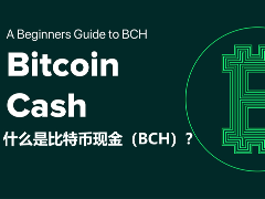 什么是比特幣現(xiàn)金（BCH）？如何運(yùn)作、未來如何？如何購買BCH？
