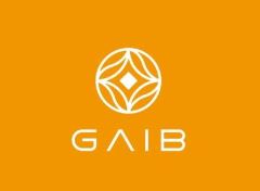 GAIB(GAIB)幣是什么？怎么樣？GAIB運(yùn)作方式、代幣經(jīng)濟(jì)和空投指南