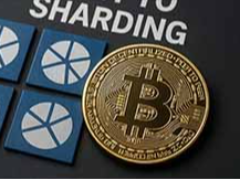 什么是加密分片？它是如何工作的？一文介紹